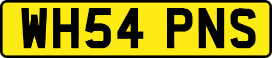 WH54PNS