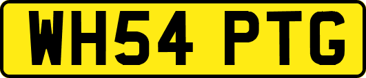 WH54PTG
