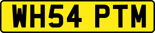 WH54PTM