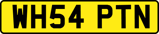 WH54PTN