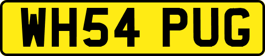 WH54PUG