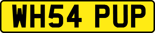 WH54PUP