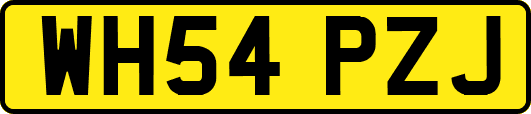 WH54PZJ