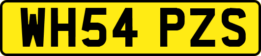 WH54PZS
