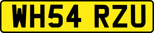 WH54RZU