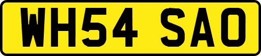 WH54SAO