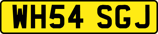 WH54SGJ