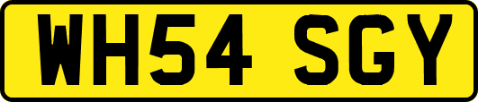WH54SGY