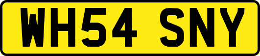 WH54SNY