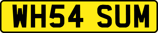 WH54SUM