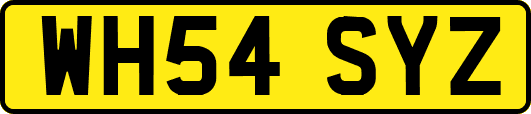 WH54SYZ