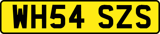 WH54SZS