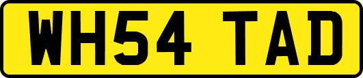 WH54TAD