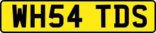 WH54TDS