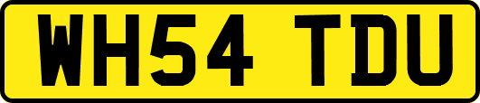 WH54TDU