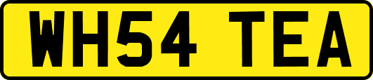 WH54TEA