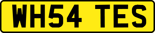 WH54TES