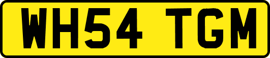 WH54TGM