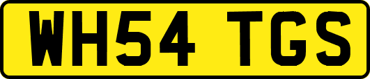 WH54TGS