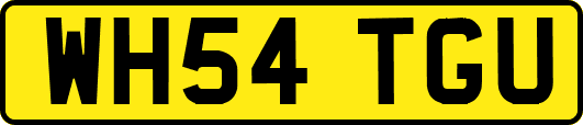 WH54TGU