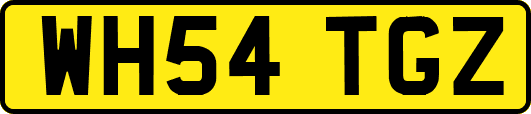 WH54TGZ