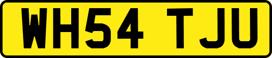WH54TJU