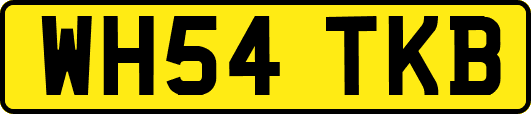 WH54TKB
