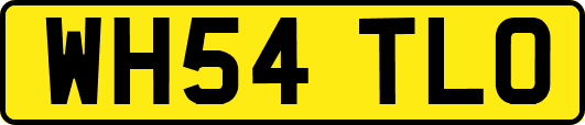 WH54TLO