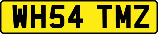 WH54TMZ