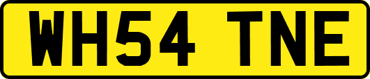 WH54TNE