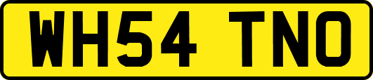 WH54TNO