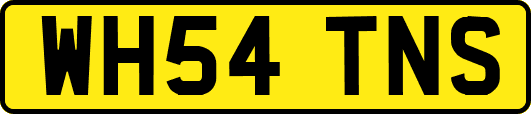 WH54TNS