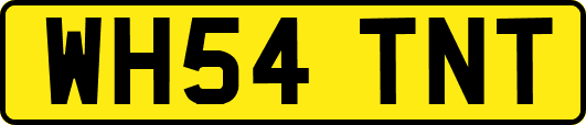 WH54TNT
