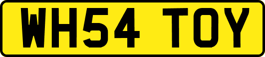 WH54TOY