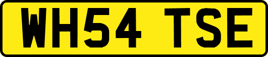 WH54TSE
