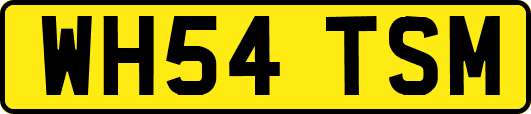 WH54TSM