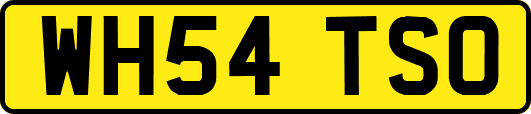WH54TSO