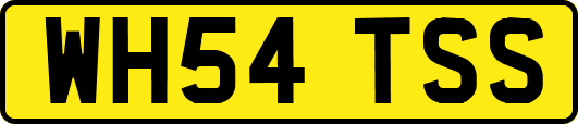 WH54TSS