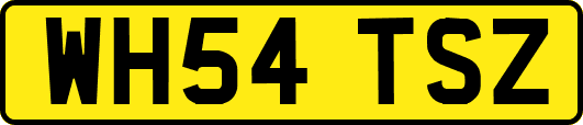 WH54TSZ