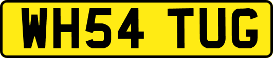 WH54TUG