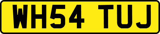 WH54TUJ