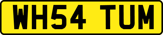 WH54TUM