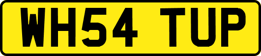 WH54TUP