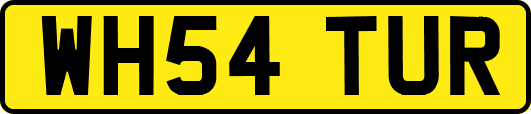 WH54TUR