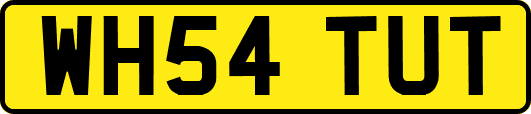 WH54TUT