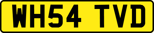 WH54TVD