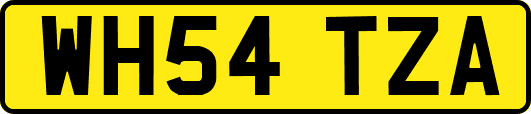 WH54TZA