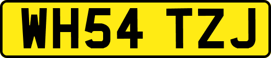 WH54TZJ