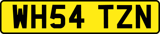 WH54TZN