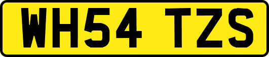 WH54TZS